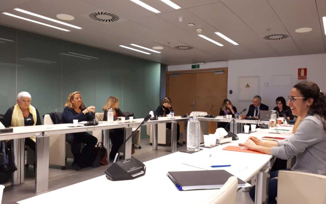 The Generalitat de Catalunya, through the Council for the Disability of Catalonia (CODISCAT), initiates the process of legislative adaptation to the Convention on the Rights of Persons with Disabilities